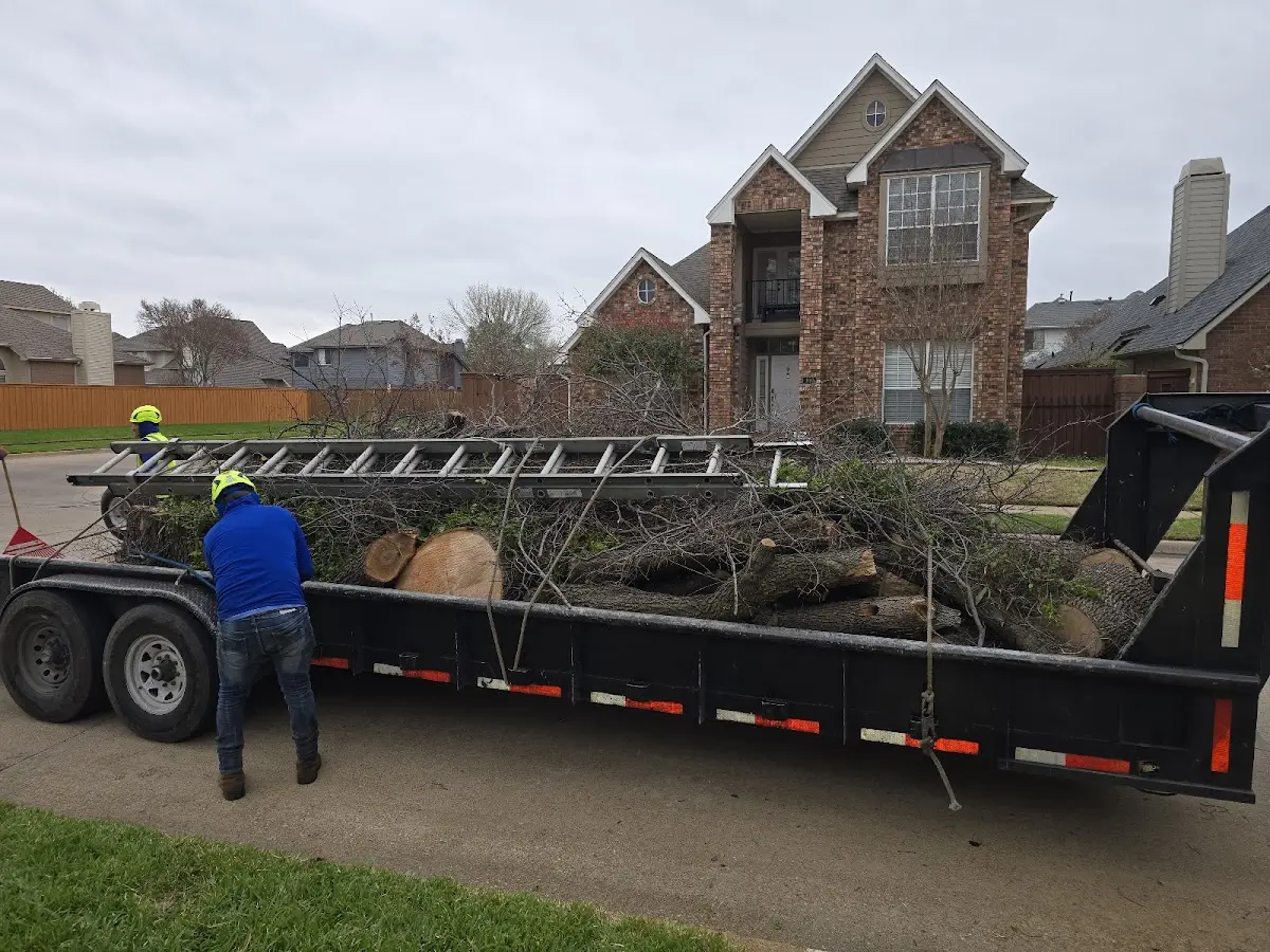 Expert Lot Clearing with proper safety equipment in Republic